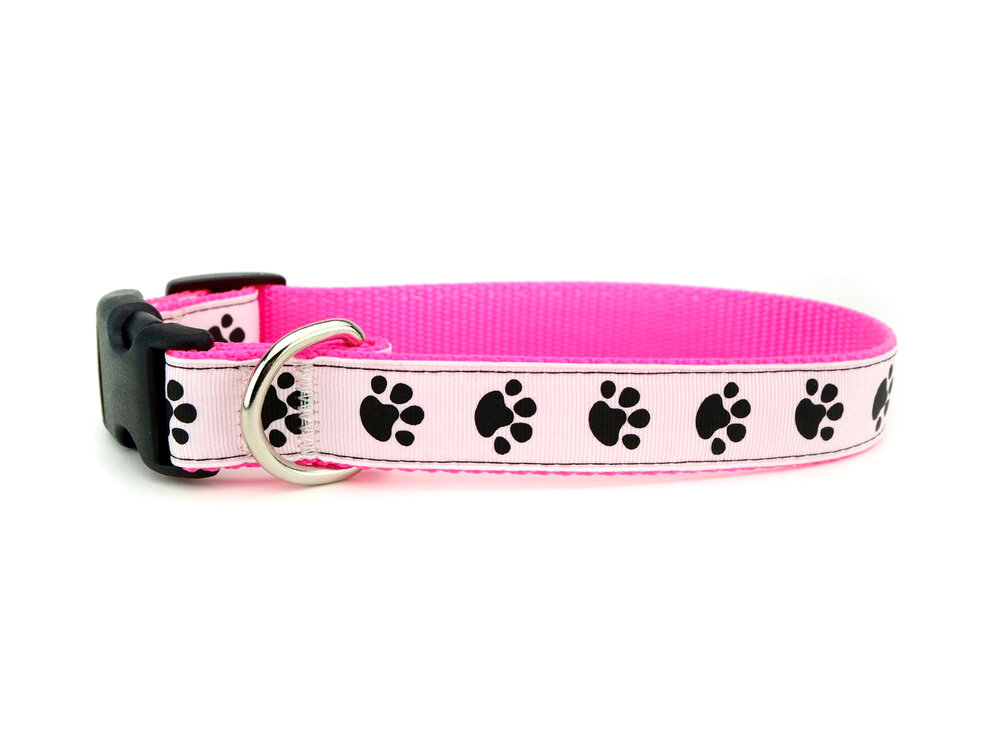 Paw Print Dog Collar Shopdog Studios